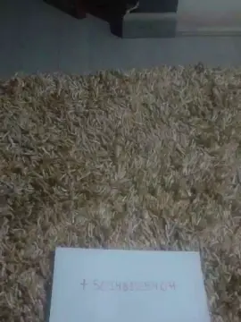 Tabata37  live sex cam