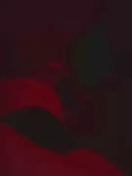Josefandreaa  live sex cam