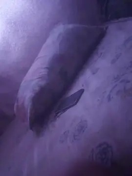 Nastykiki  live sex cam