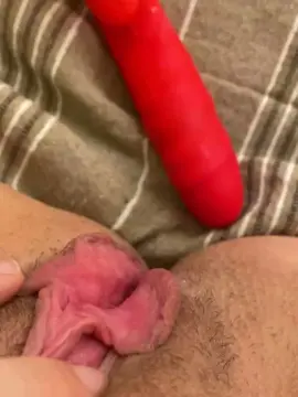 Universitygirl  live sex cam