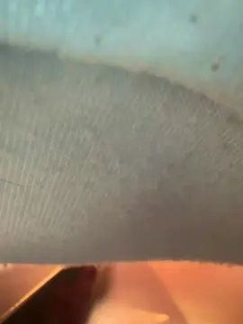 AngelinaKis  live sex cam