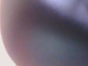 White_truffel  live sex cam