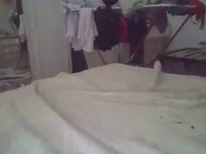Leshj  live sex cam