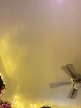 Kj429  live sex cam