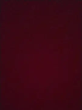 POPOZUDA31  live sex cam