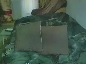 Tvikssweetco  live sex cam