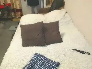 Tvikssweetco  live sex cam