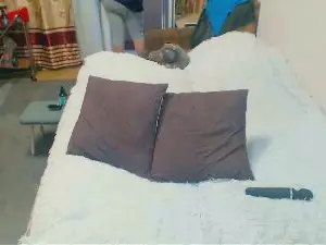 Tvikssweetco  live sex cam