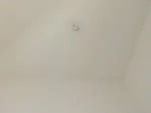 Stacyfoxx_  live sex cam