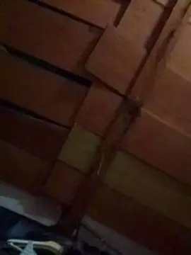 Aime23  live sex cam