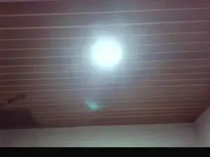 Queimadoarroz  live sex cam