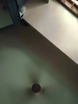 Hannaaaahhhh  live sex cam
