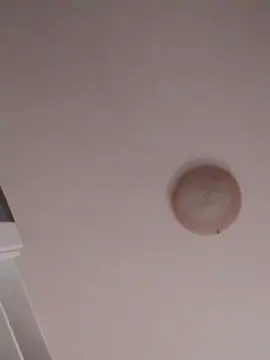 Cignonero05  live sex cam