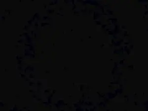 JameeGabbay  live sex cam