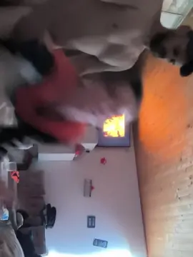 Scchaud71  live sex cam