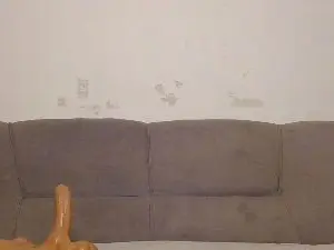 SpicyAngels  live sex cam