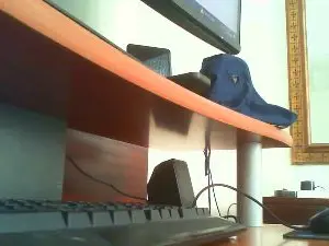 Xgatas  live sex cam