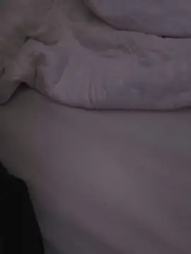 KittyPraidd  live sex cam