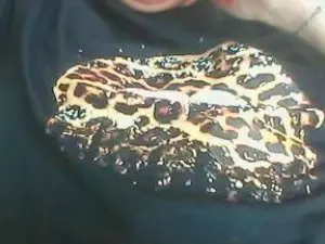 Misssexy30  live sex cam
