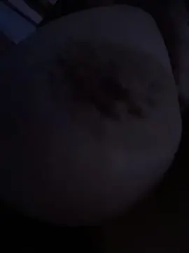 Bellybear25  live sex cam