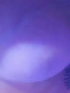 Priismand  live sex cam