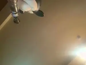 Arecti0n  live sex cam