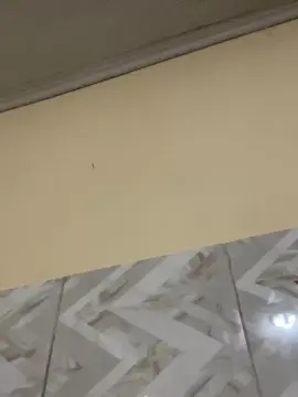 Kacaudocerrado  live sex cam