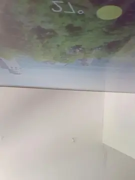 Tokiiooo  live sex cam