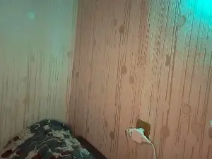 CiaraCruisss  live sex cam