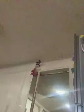 Qlitoexclusi22_  live sex cam