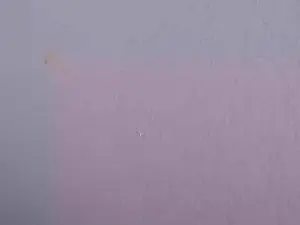 Ariannalovel  live sex cam