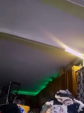 NutNmyGUTdaddy  live sex cam