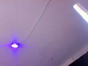 Amy_Kiitty  live sex cam