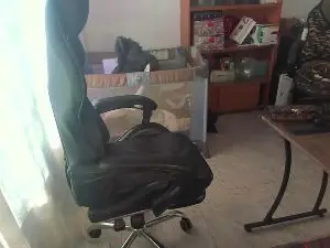 PetitSimonett  live sex cam