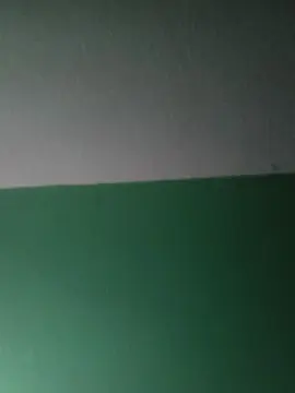Valcmil  live sex cam