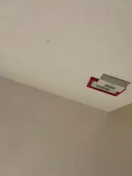 Couplebibdx  live sex cam