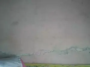 Hollanda20  live sex cam