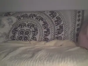69diorHot  live sex cam