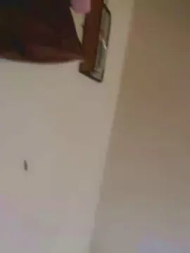 MysteryMari3e  live sex cam