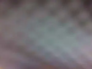 LaylaTheLeopard  live sex cam
