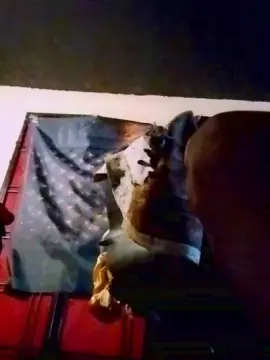 Upstucky  live sex cam