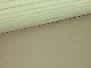 AdharaVelvet  live sex cam