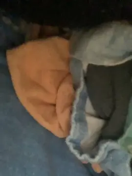 Babe183  live sex cam