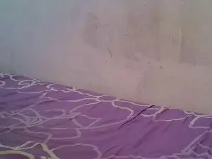 Clove6  live sex cam