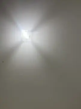 Laisdias1  live sex cam