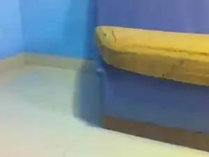 Assholhot  live sex cam