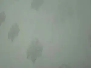 Kinkxhotix  live sex cam