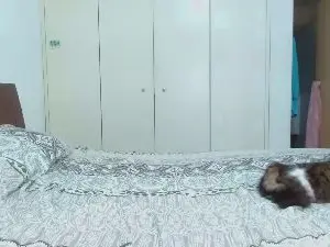 Arenaa  live sex cam