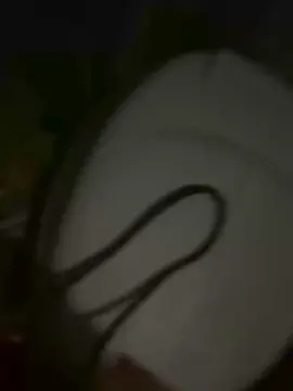 Dafnesqueeze  live sex cam