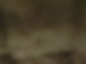 SalomeVivas1  live sex cam